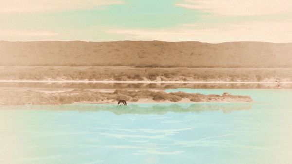 Laguna Colorada (2022)