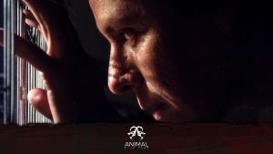 Mometzcopinqui- Animal Film Fest (2014)